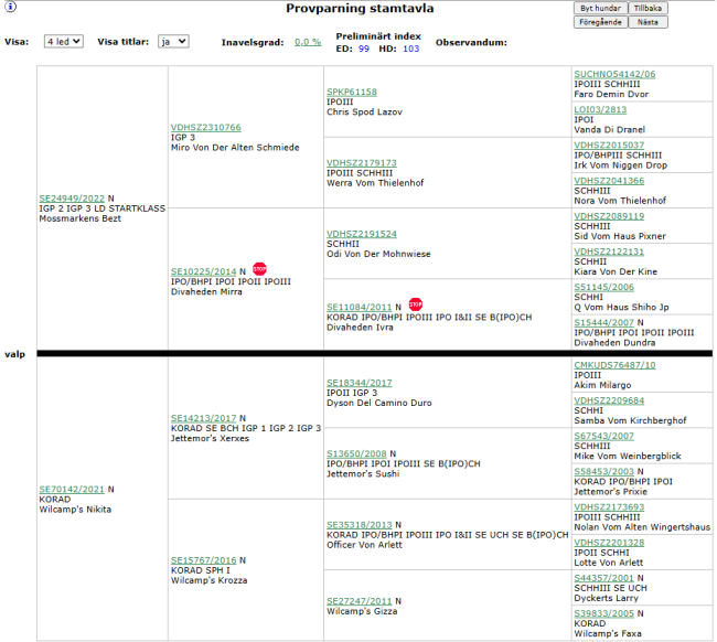 Provparning Nikita_Bezt